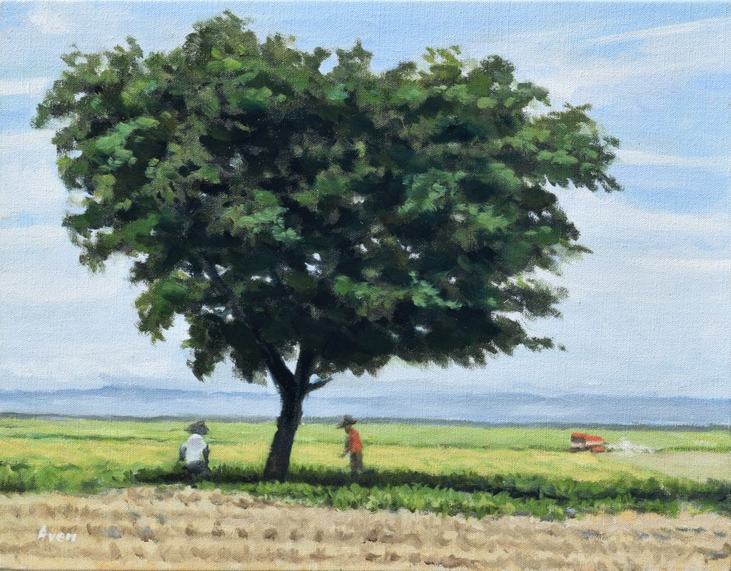 Aven Works (10)